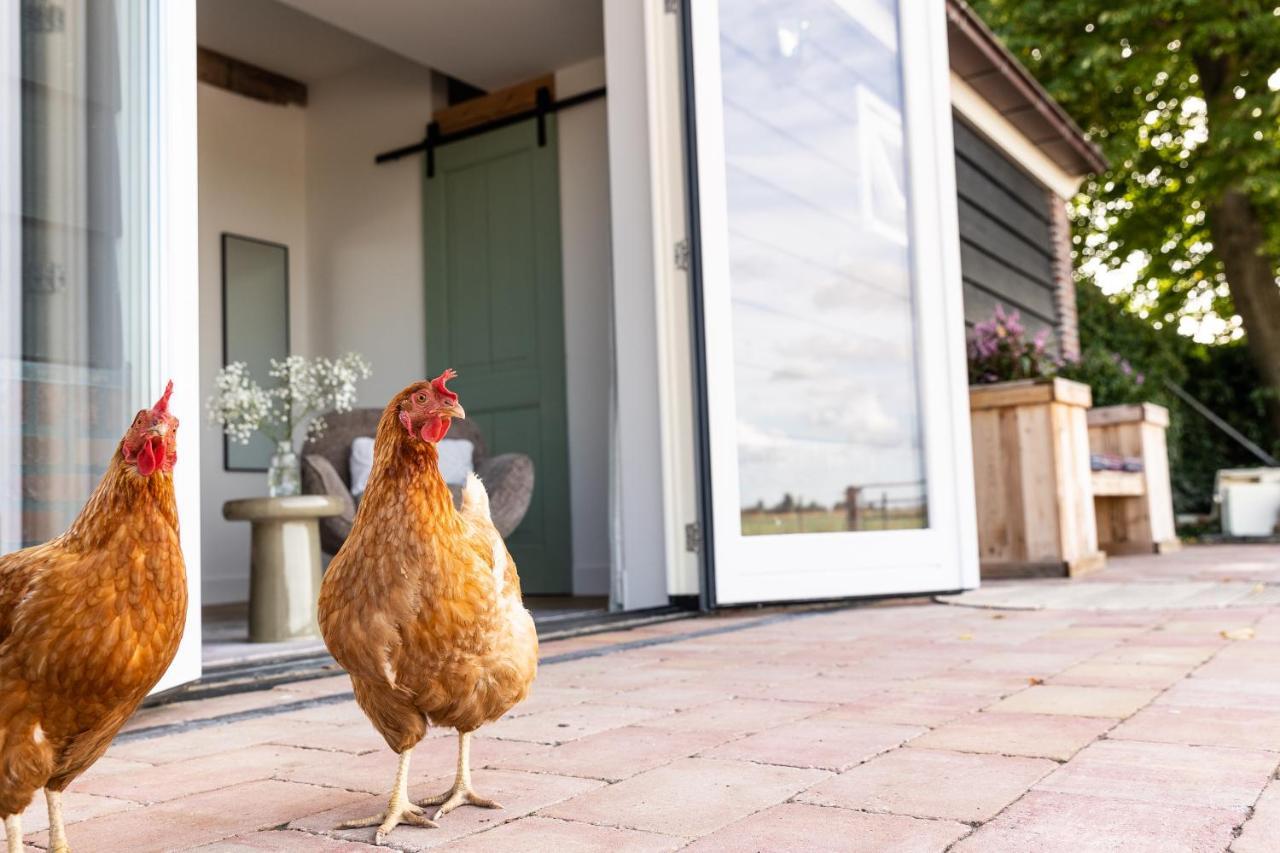 De Zuiderstolp Bed and Breakfast Zuidermeer Εξωτερικό φωτογραφία